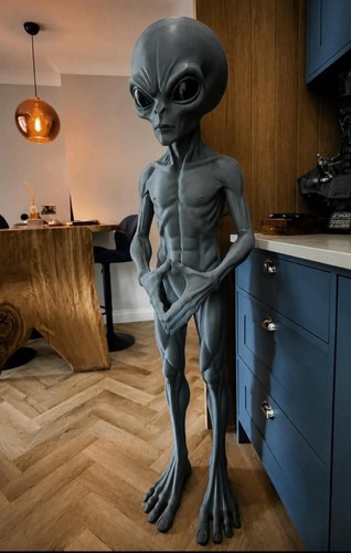 Life size grey alien huge - grey, 5ft